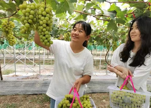 �_ɽ�h��ꖹ�õ�塰�������¸�·����r(sh��)��(ji��)